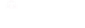 Niagara University Logo